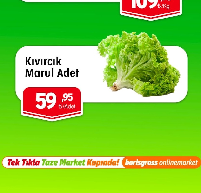 Kıvırcık Marul Adet
