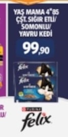 Felix Yaş Mama 4X85 G Sığır Etli/Somonlu Yavru Kedi