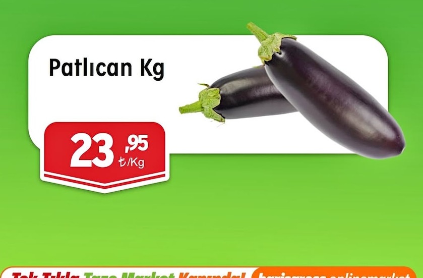 Patlıcan Kg
