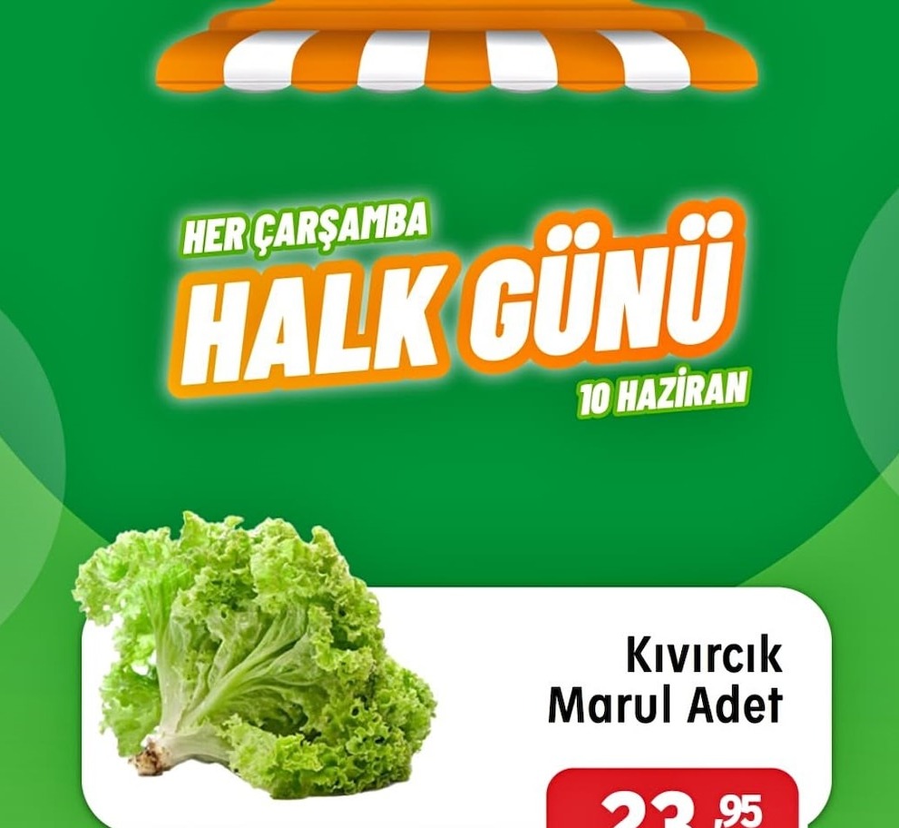 Kıvırcık Marul Adet