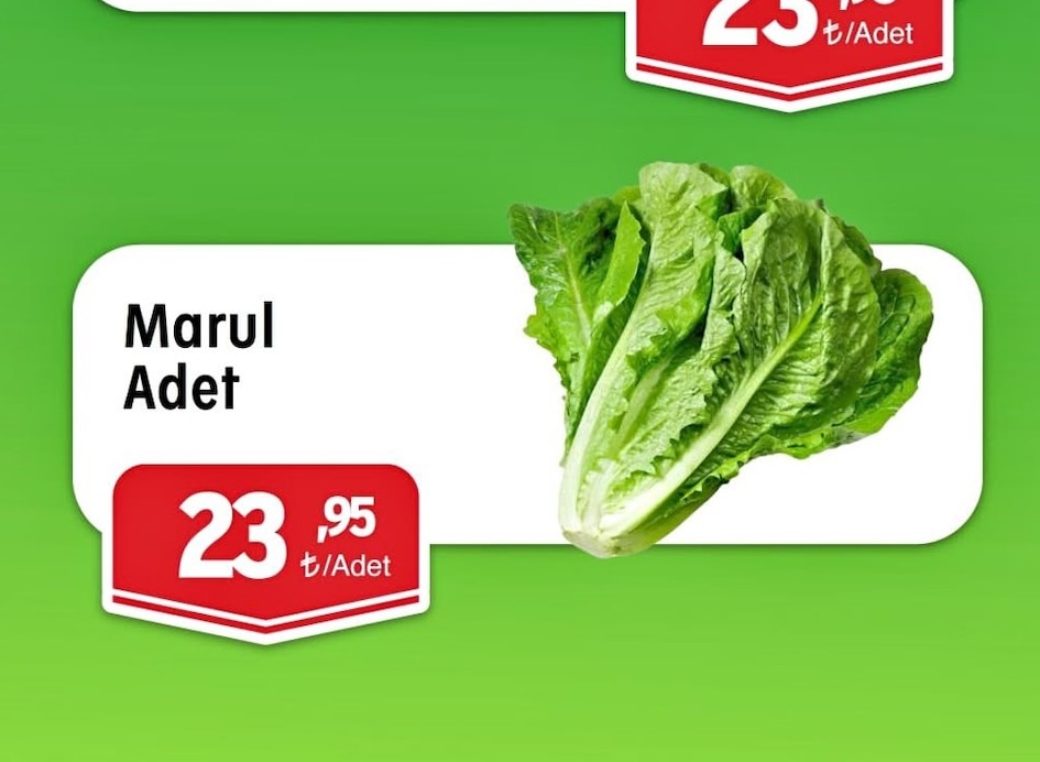 Marul Adet