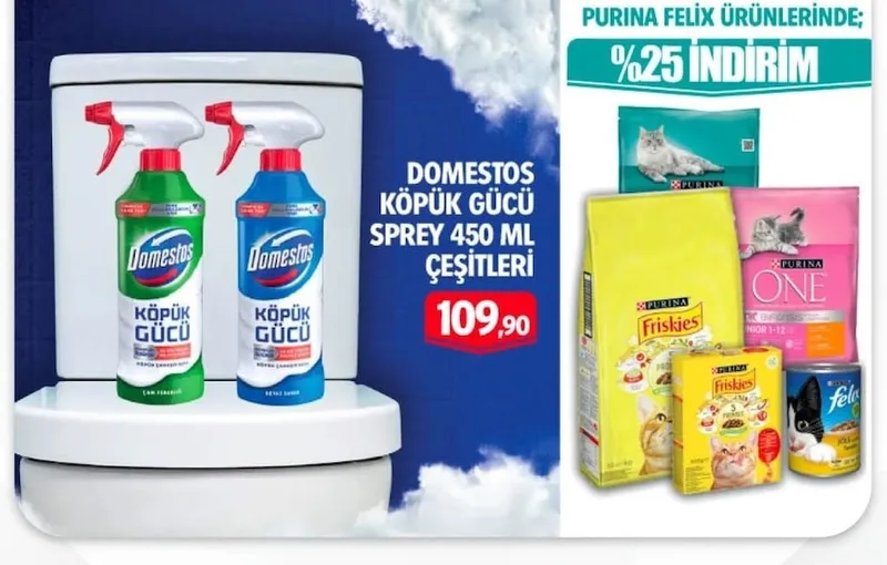 Domestos Köpük Gücü Sprey 450 Ml Çeşitleri