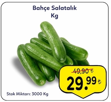 Bahçe Salatalık Kg