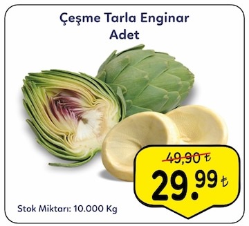 Çeşme Tarla Enginar Adet