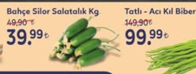 Bahçe Silor Salatalık Kg