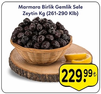 Marmara Birlik Gemlik Sele Zeytin Kg (261-290 Klb)