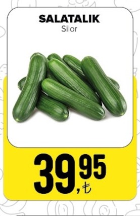 Salatalik Si̇lor