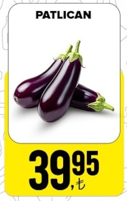 Patlican