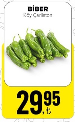 Bi̇ber Köy Çarliton