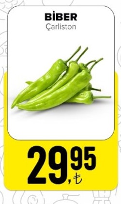 Bi̇ber Çarliton