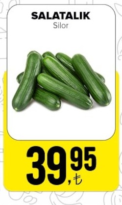 Salatalık Silor