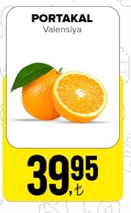 Portakal Valencia