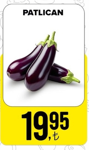 Patlican
