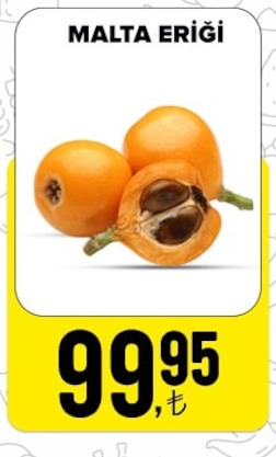 Malta Eriği