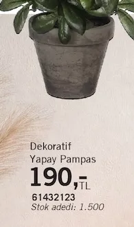 Dekoratif Yapay Pampas