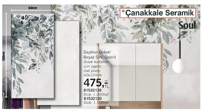 Çanakkale Seramik Soul Daphne Dekor/Beyaz Sırlı Granit Duvar Seramiği 60X120Cm