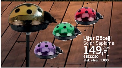 Uğur Böceği Solar Saplama