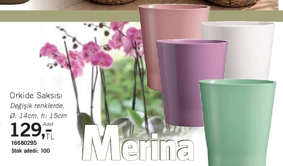 Merina Orkid Saksısı Çeşitli Renklerde Ø:14Cm H:15Cm