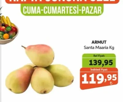 Armut Santa Maaria Kg