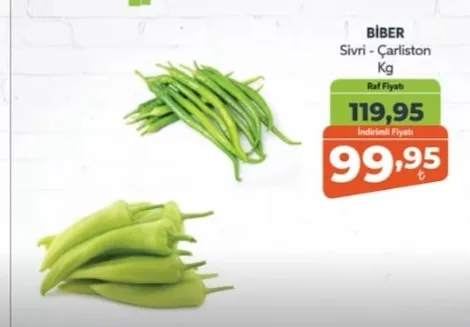 Bi̇Ber Sivri - Çarlston Kg