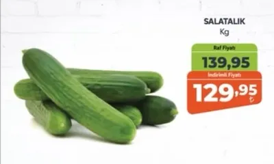 Salatalık Kg