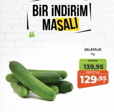 Salatalık Kg
