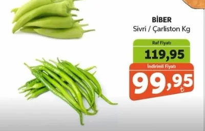 Bi̇Ber Sivri / Çarlıston Kg