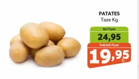 Patates Taze Kg