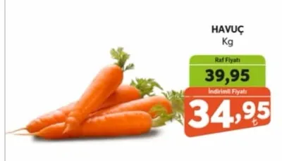 Havuç Kg