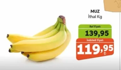 Muz İthal Kg