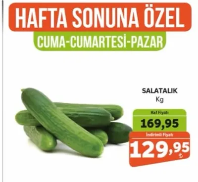 Salatalik Kg