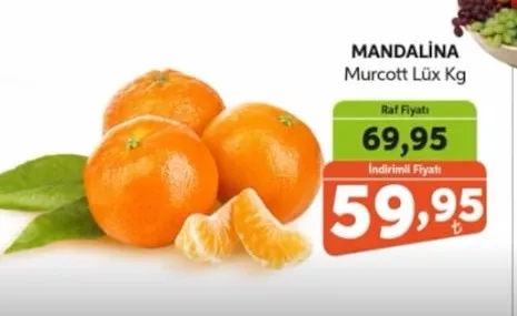 Mandalina Murcott Lüks Kg