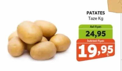 Patates Taze Kg