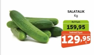 Salatalık Kg