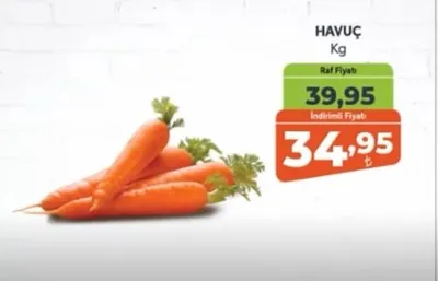 Havuç Kg
