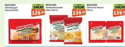 Bahçivan Rende Mozzarella Ailesi 200 Gr
