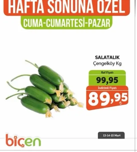 Salatalık Çengelköy Kg