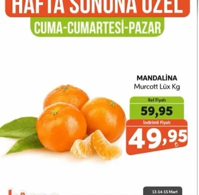 Mandalina Murcott Lüks Kg
