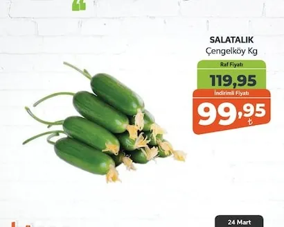 Salatalık Çengelköy Kg