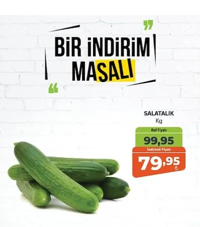 Salatalık Kg