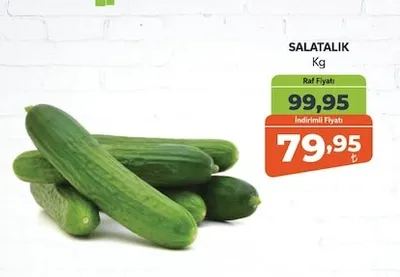 Salatalık Kg
