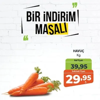 Havuç Kg
