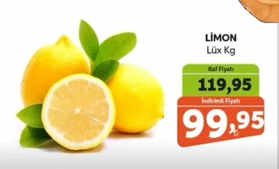 Limon Lüx Kg