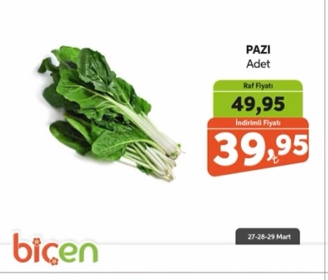 Pazı Adet