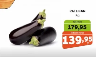 Patlıcan Kg