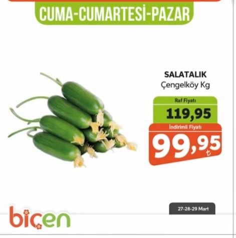 Salatalık Çengelköy Kg