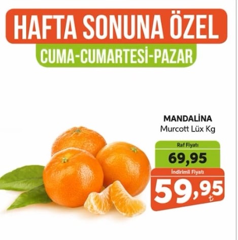 Mandalina Murcott Lüx Kg