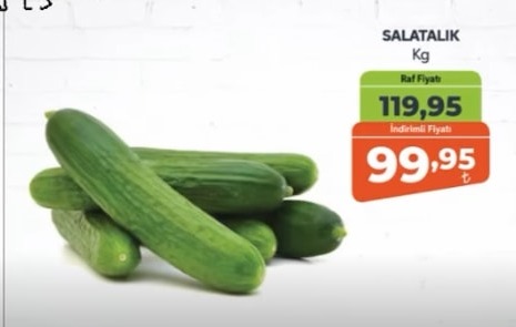 Salatalık Kg