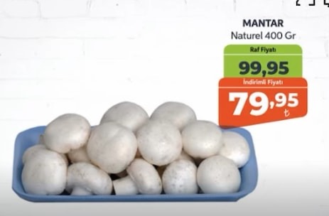 Mantar Naturel 400 Gr