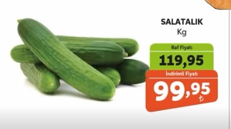 Salatalık Kg